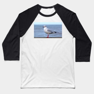 beach seagull seaside traveller bird sea gull ocean scene Baseball T-Shirt